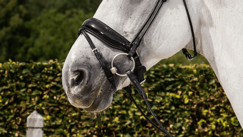 Chargez l'image dans la visionneuse de la galerie, Muserolle Combinée Large Fermeture Pull Back Vernie NE round leather