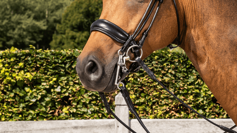 Chargez l'image dans la visionneuse de la galerie, Muserolle Large Fermeture Pull Back Mat NE round leather