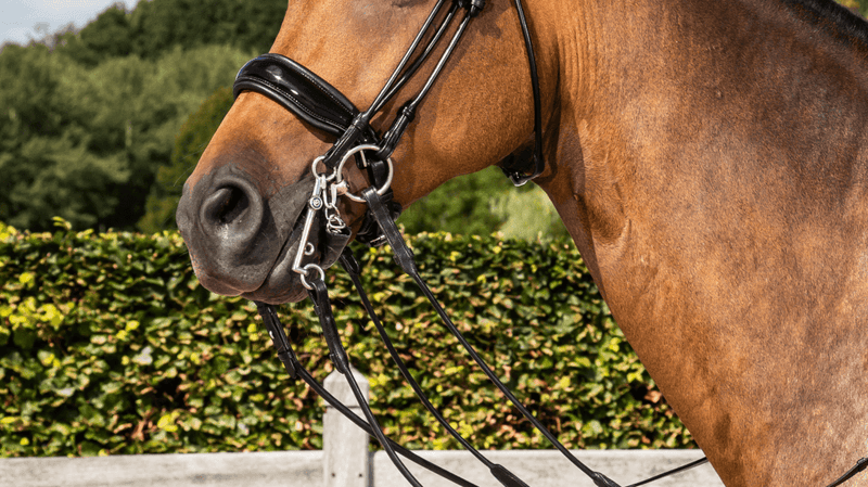 Chargez l'image dans la visionneuse de la galerie, Muserolle Large Fermeture Pull Back Vernie NE round leather