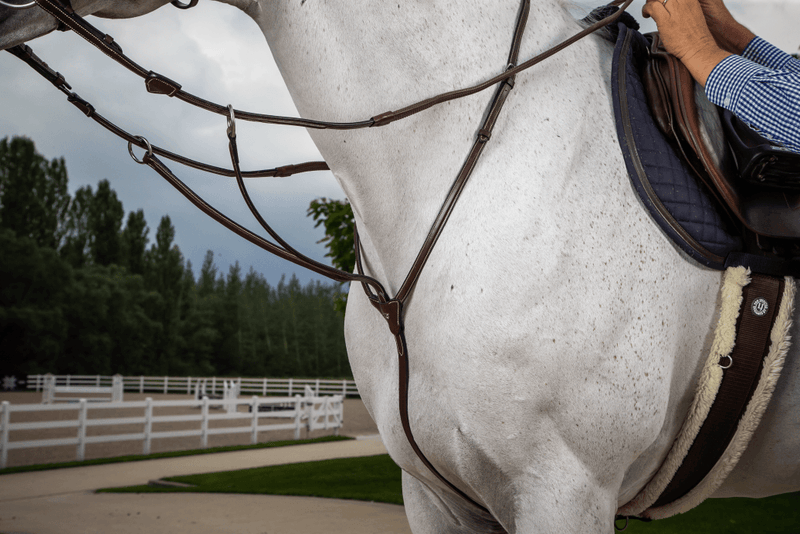 Chargez l'image dans la visionneuse de la galerie, Brun