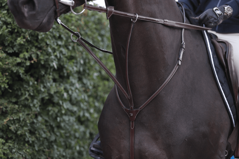 Chargez l'image dans la visionneuse de la galerie, Brun