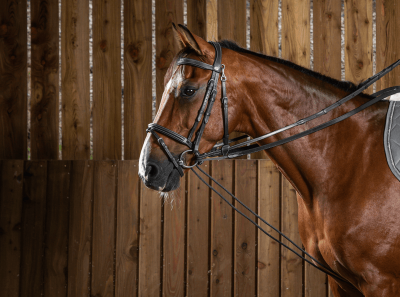 Chargez l'image dans la visionneuse de la galerie, Noir