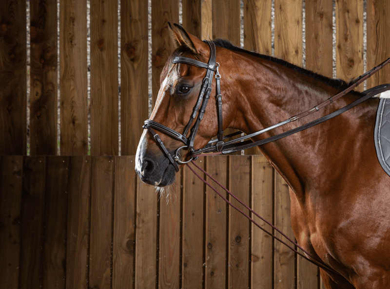 Chargez l'image dans la visionneuse de la galerie, Brun