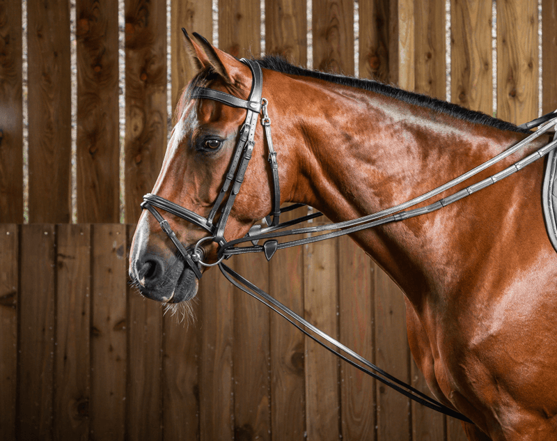 Chargez l'image dans la visionneuse de la galerie, Noir