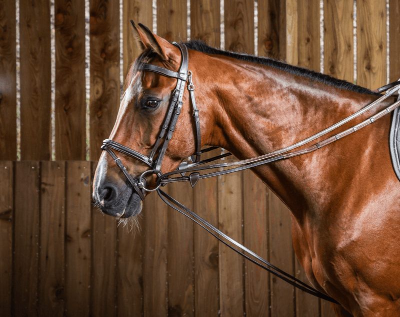 Chargez l'image dans la visionneuse de la galerie, Brun