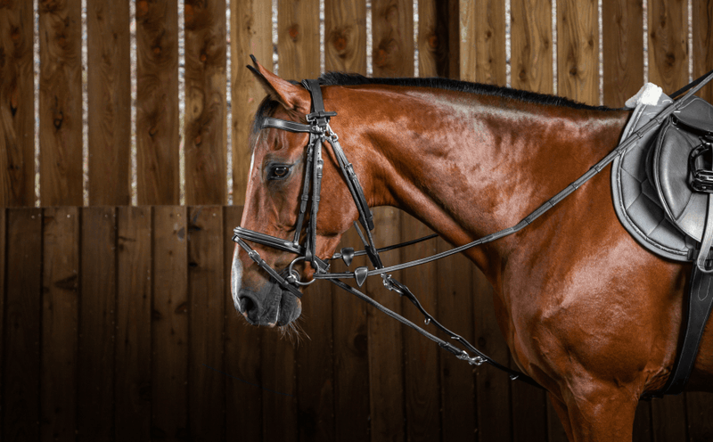 Chargez l'image dans la visionneuse de la galerie, Noir