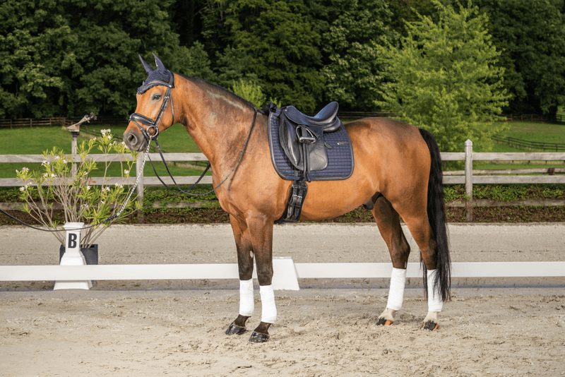 Chargez l'image dans la visionneuse de la galerie, Tapis Classique Dressage