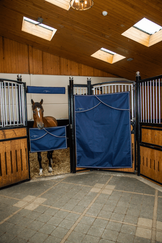 Chargez l'image dans la visionneuse de la galerie, Tenture de Box