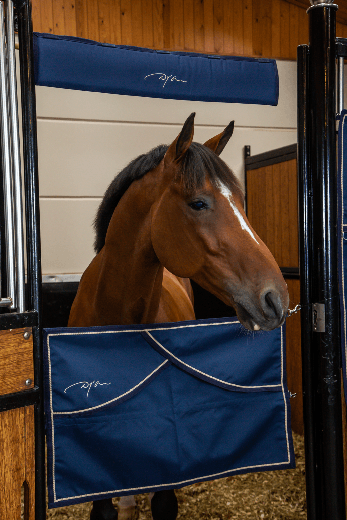 Chargez l'image dans la visionneuse de la galerie, Demi Porte de Box