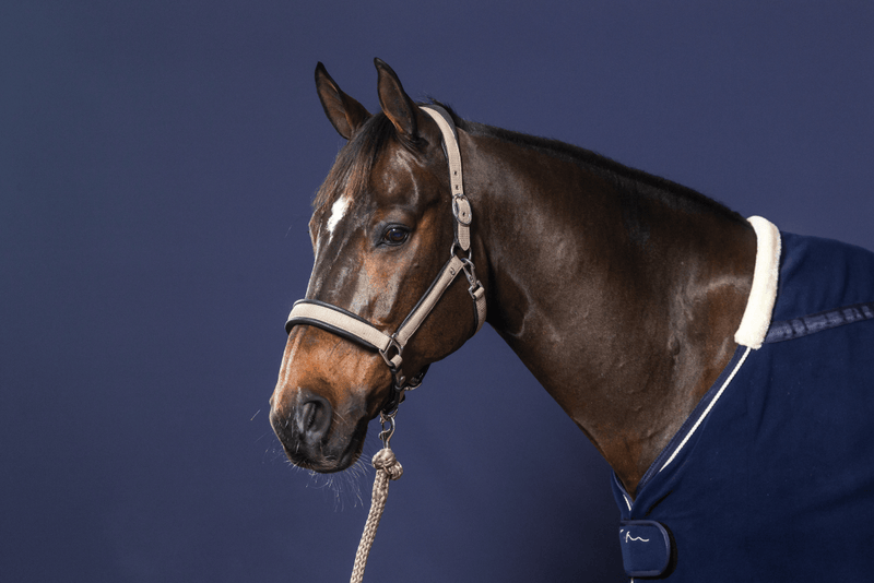 Chargez l'image dans la visionneuse de la galerie, Gris