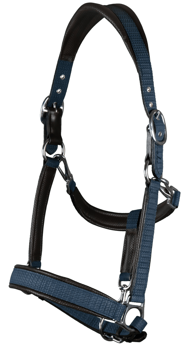 Chargez l'image dans la visionneuse de la galerie, Bleu