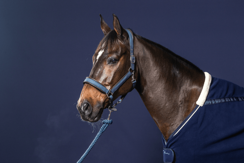 Chargez l'image dans la visionneuse de la galerie, Bleu