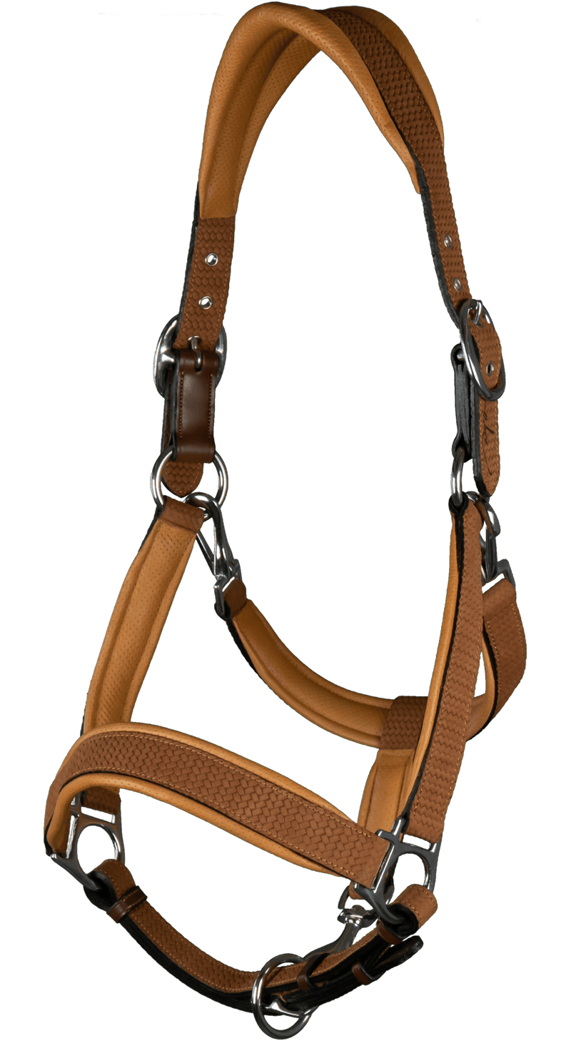 Chargez l'image dans la visionneuse de la galerie, Tan