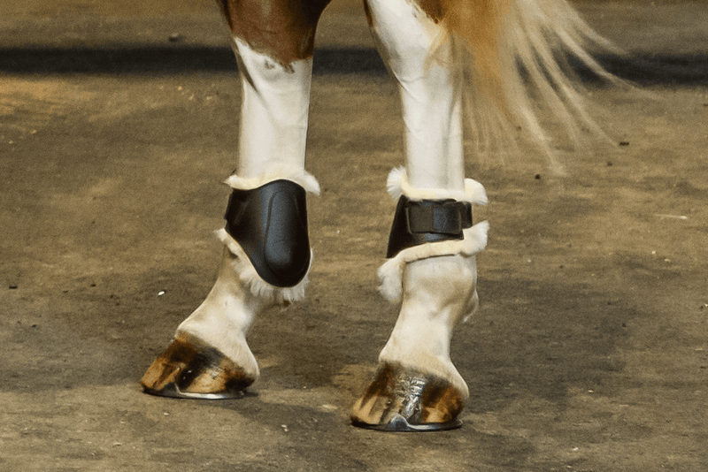 Chargez l'image dans la visionneuse de la galerie, Protèges Boulet Cuir Intérieur Mouton