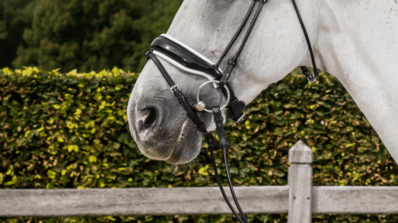 Chargez l'image dans la visionneuse de la galerie, Noir