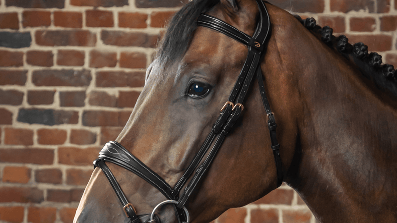 Chargez l'image dans la visionneuse de la galerie, Noir