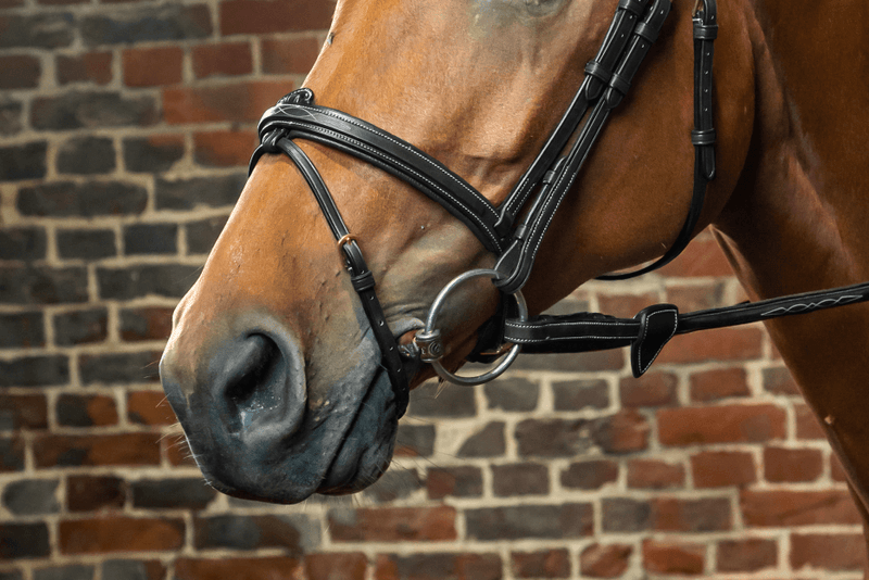 Chargez l'image dans la visionneuse de la galerie, Noir