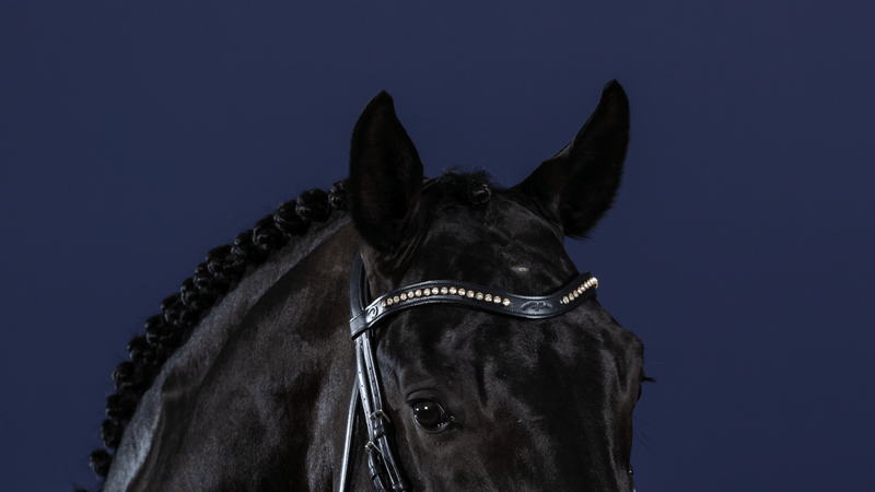 Chargez l'image dans la visionneuse de la galerie, Noir