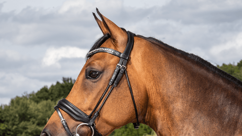 Chargez l'image dans la visionneuse de la galerie, Tétière "Type Dressage" NE round leather