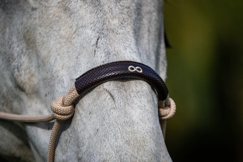 Chargez l'image dans la visionneuse de la galerie, LICOL EDUCATIF BRUN FULL LA CENSE BY DYON