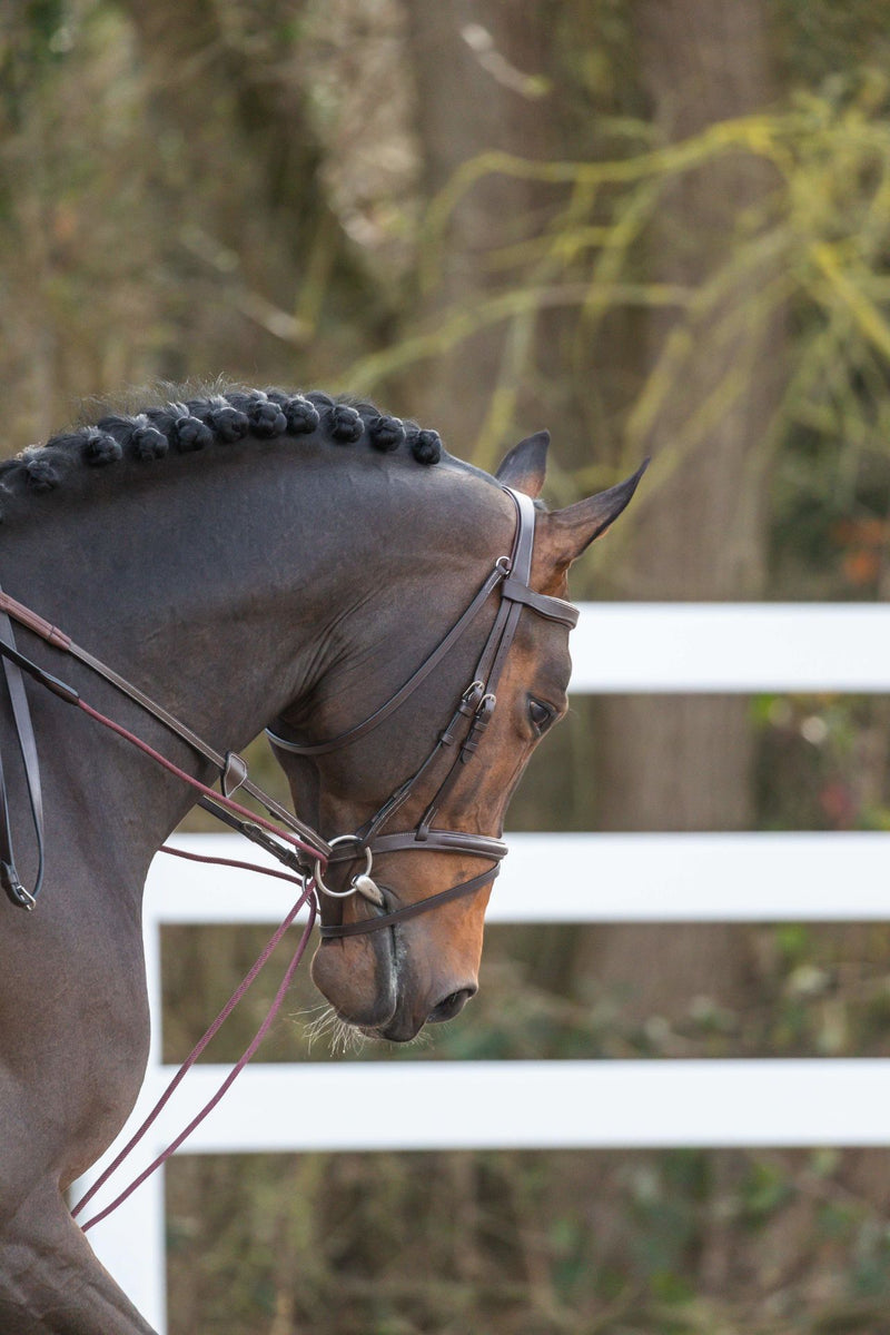 Chargez l'image dans la visionneuse de la galerie, Rènes Allemandes Cuir/Nylon 5/8 WORKING BY DYON