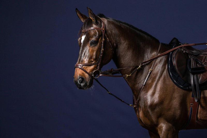 Chargez l'image dans la visionneuse de la galerie, FOURCHETTE HOWLETT BRUN FULL D COLLECTION