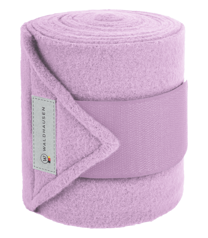 Chargez l'image dans la visionneuse de la galerie, Orchidée