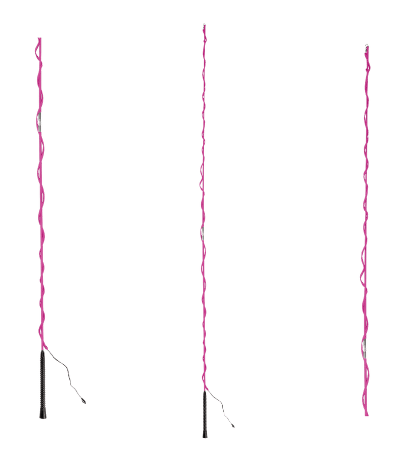 Chargez l'image dans la visionneuse de la galerie, Rose