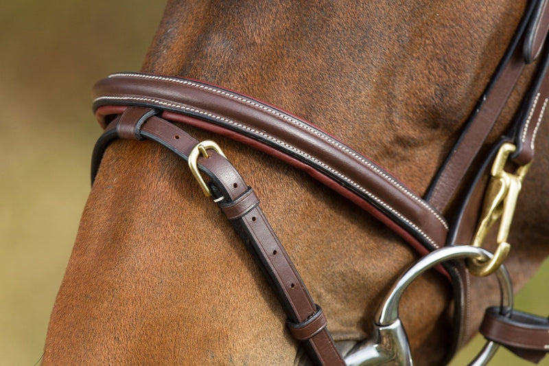 Chargez l'image dans la visionneuse de la galerie, Bridon Mousquetons