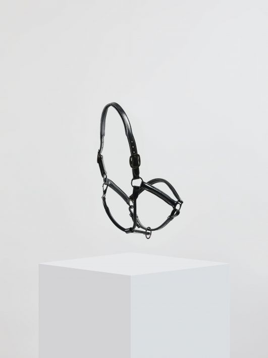 Chargez l'image dans la visionneuse de la galerie, Licol cuir Kingsley