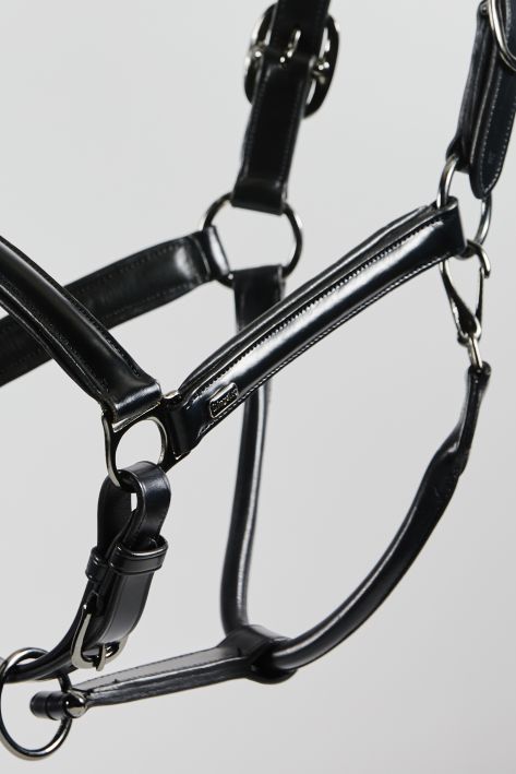 Chargez l'image dans la visionneuse de la galerie, Licol cuir Kingsley