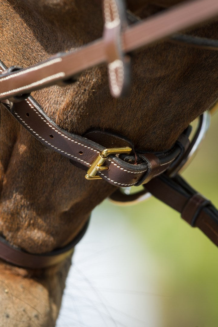 Chargez l'image dans la visionneuse de la galerie, Bridon Mousquetons