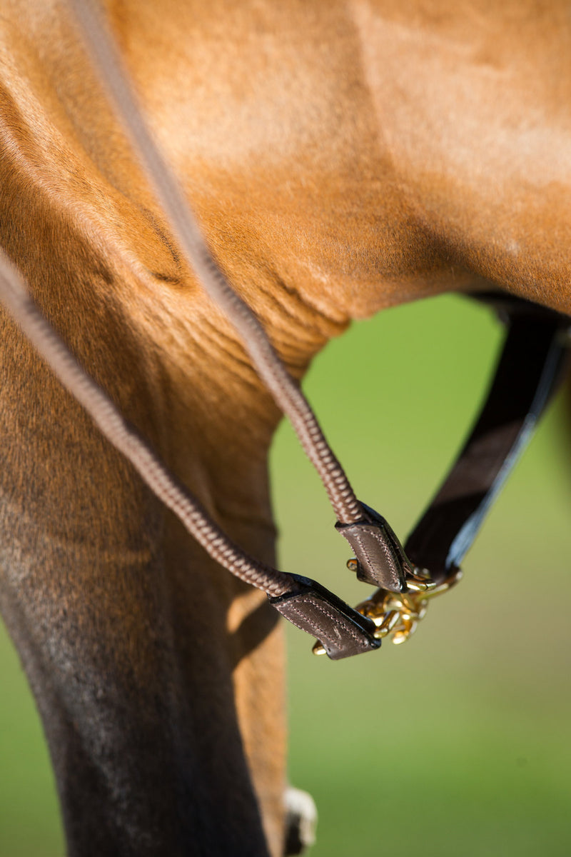 Chargez l'image dans la visionneuse de la galerie, Renes allemandes HFI