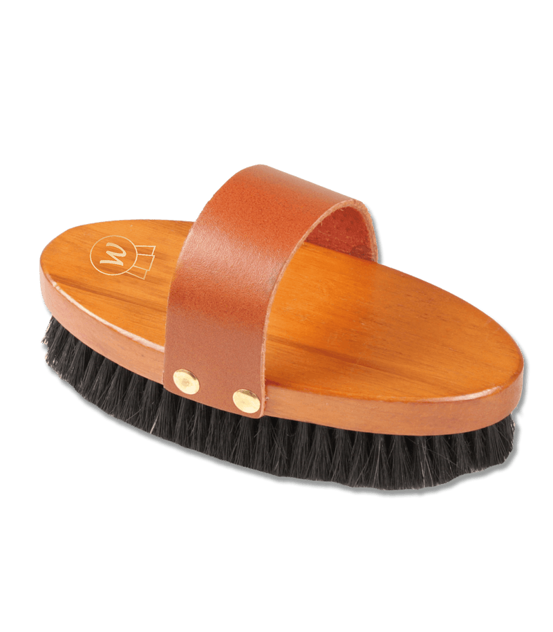 Chargez l'image dans la visionneuse de la galerie, Nature