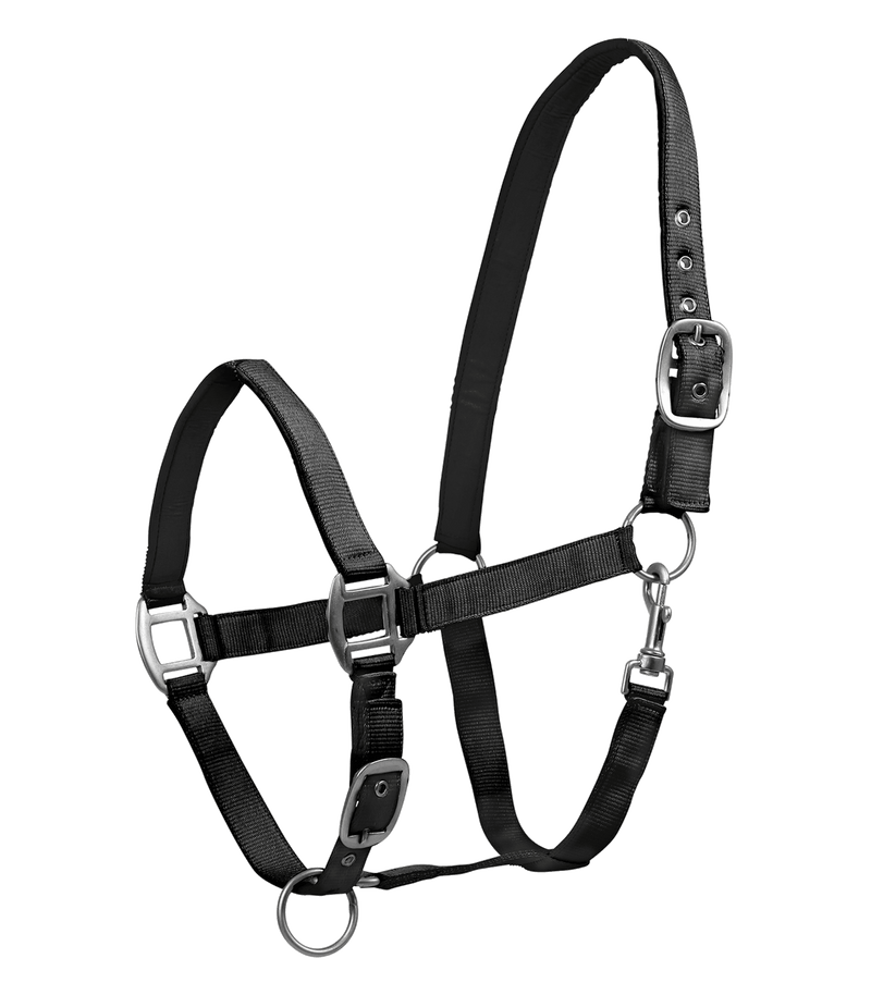 Chargez l'image dans la visionneuse de la galerie, Noir