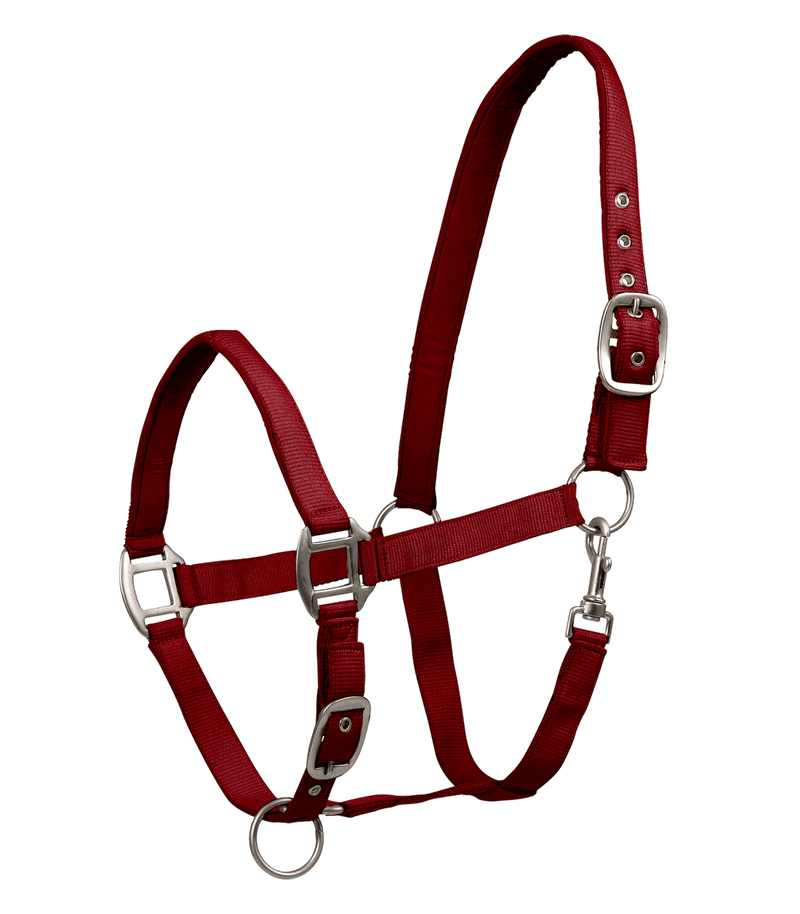 Chargez l'image dans la visionneuse de la galerie, Bordeaux