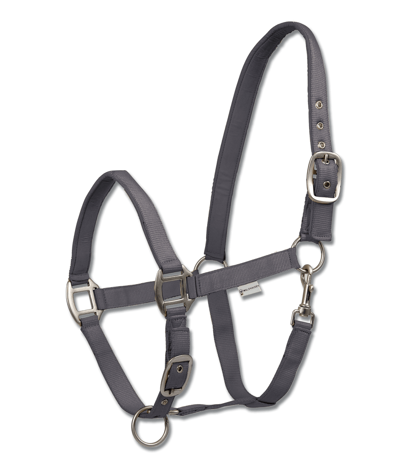 Chargez l'image dans la visionneuse de la galerie, Gris granit