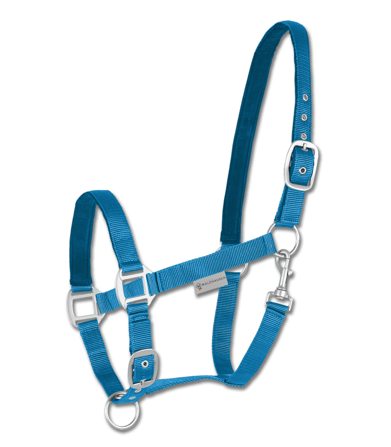 Chargez l'image dans la visionneuse de la galerie, Bleu azur