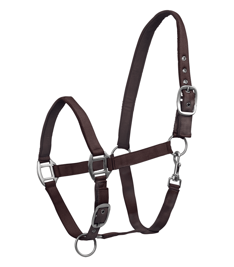 Chargez l'image dans la visionneuse de la galerie, Marron