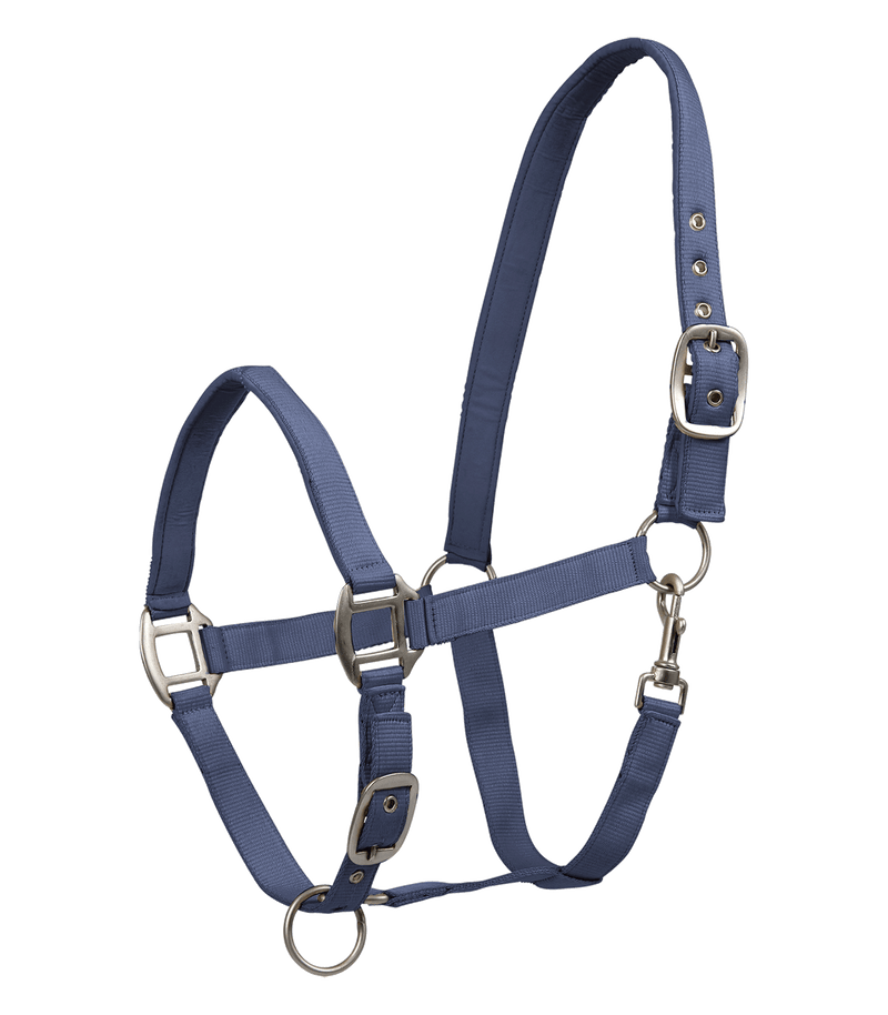 Chargez l'image dans la visionneuse de la galerie, Indigo