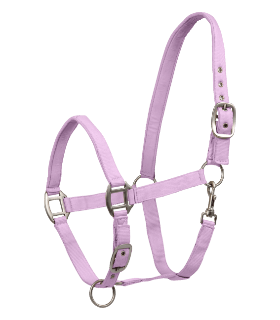 Chargez l'image dans la visionneuse de la galerie, Orchidée