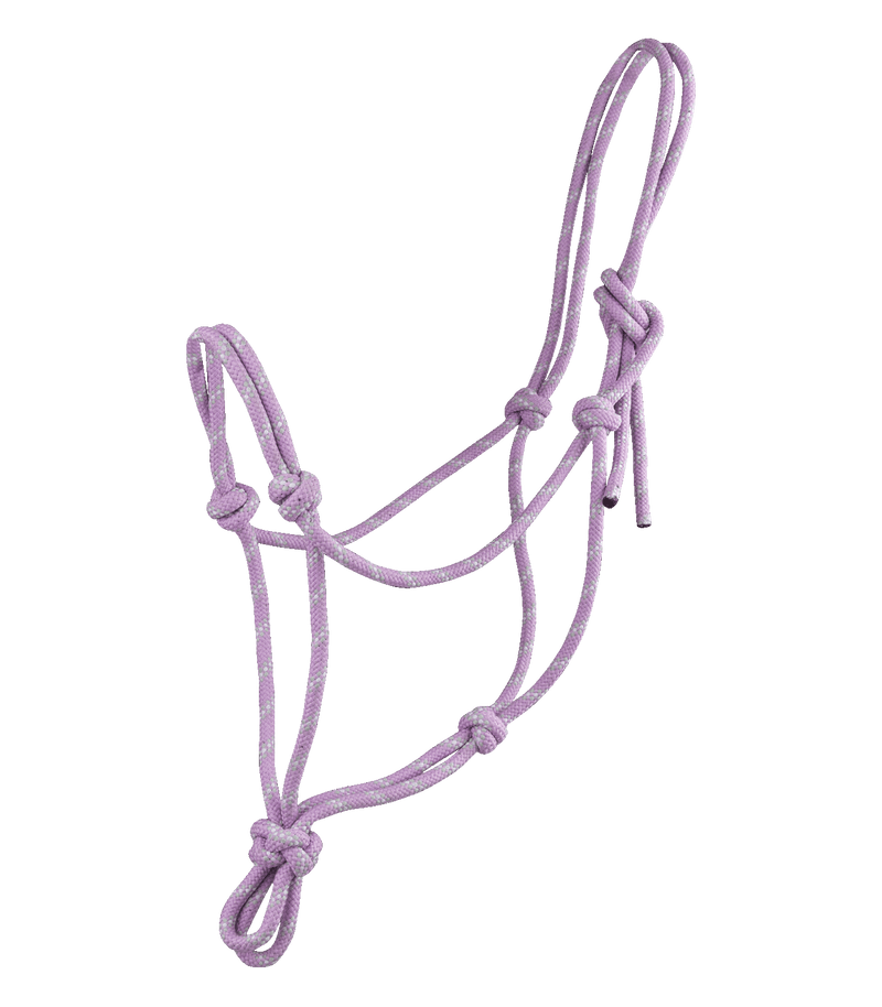 Chargez l'image dans la visionneuse de la galerie, Orchidée-métal