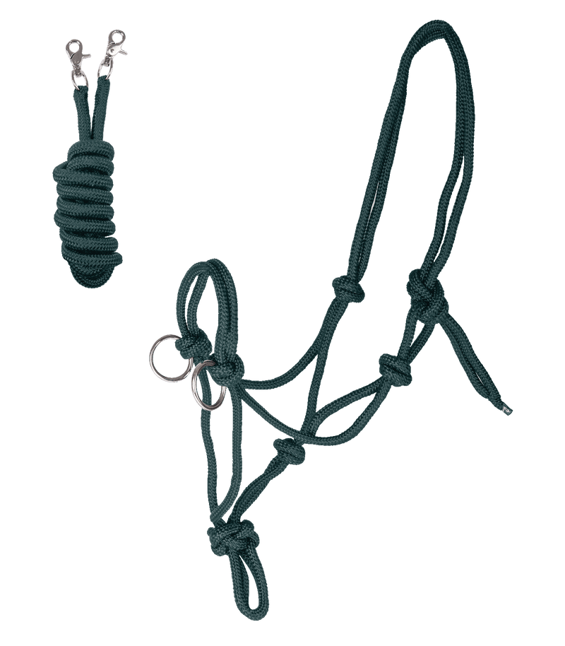 Chargez l'image dans la visionneuse de la galerie, Vert sapin