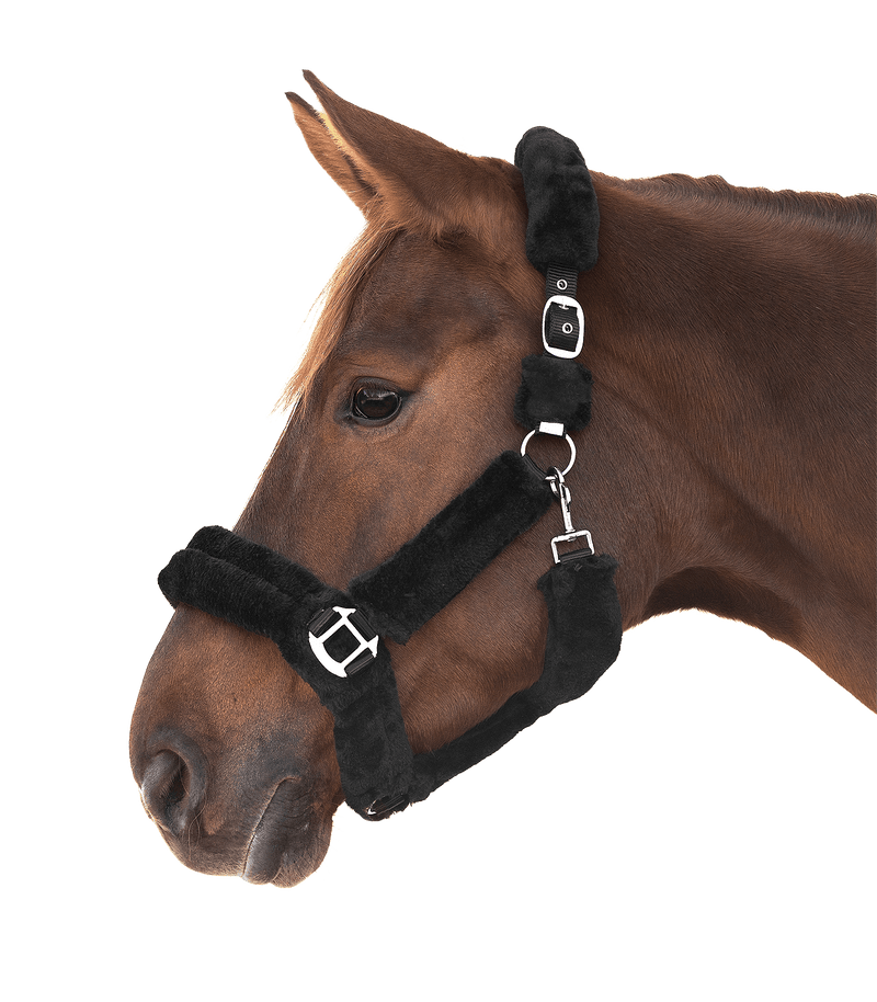 Chargez l'image dans la visionneuse de la galerie, Noir