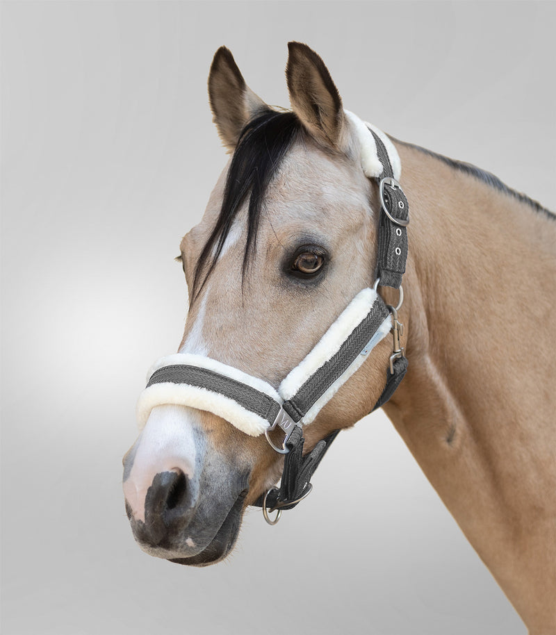 Chargez l'image dans la visionneuse de la galerie, LICOL SPARKLE