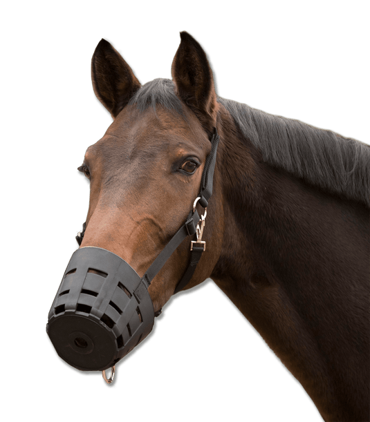 Muselière en TPU EasyClean