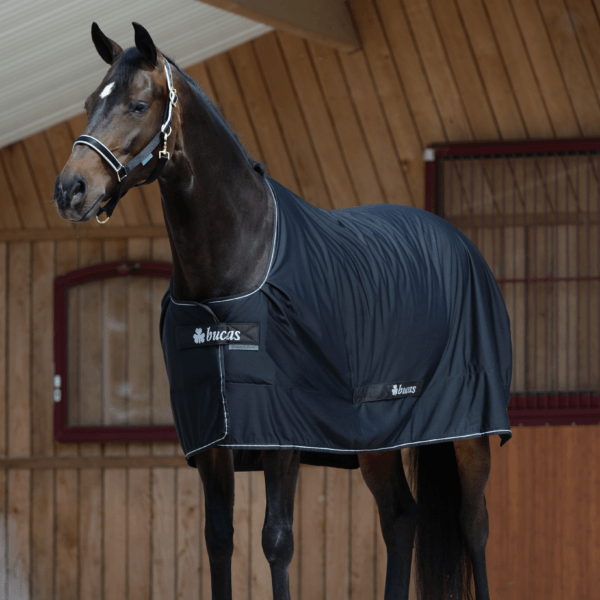 Chargez l'image dans la visionneuse de la galerie, Noir/Argent