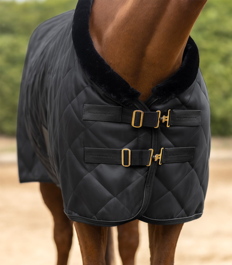 Chargez l'image dans la visionneuse de la galerie, Noir