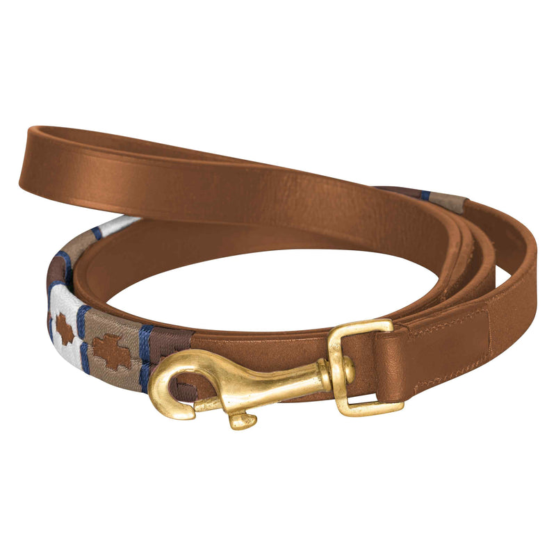 Chargez l'image dans la visionneuse de la galerie, Dog leash HVPCamila