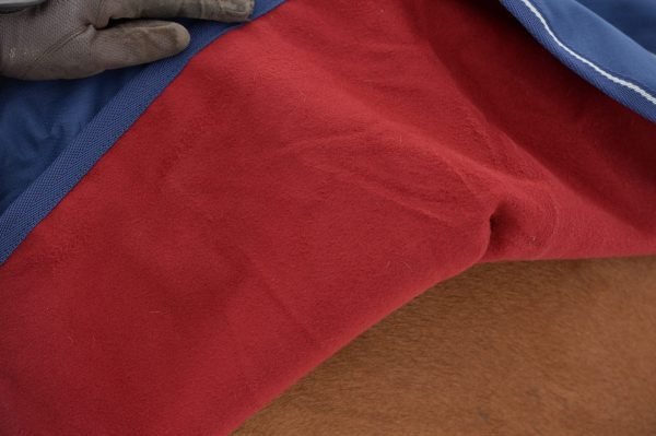 Chargez l'image dans la visionneuse de la galerie, Bucas Riding Rug